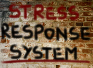 Stress Hormones 101